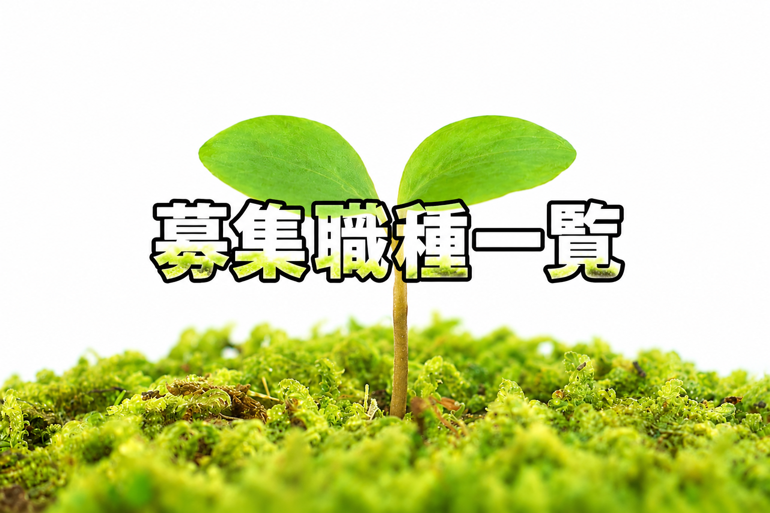 募集職種一覧